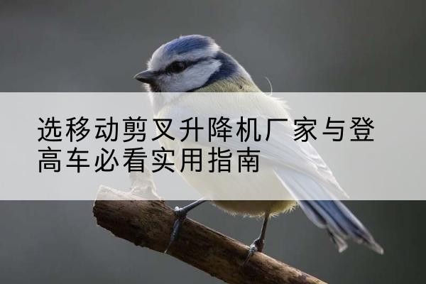 策勒电动升降机厂家-选移动剪叉升降机厂家与登高车必看实用指南