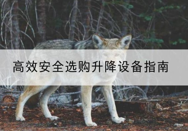 策勒升降货梯厂家推荐-*安全选购升降设备指南