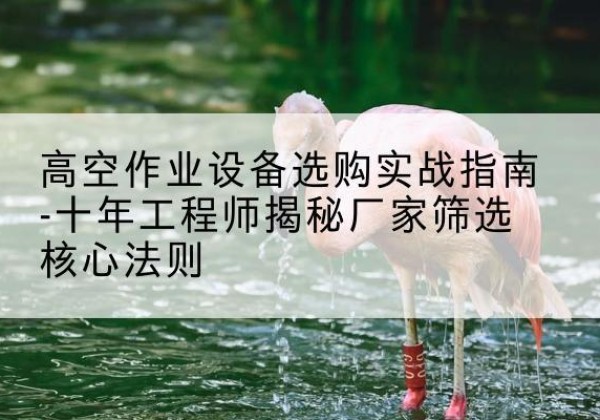 策勒剪叉式升降机厂家-高空作业设备选购实战指南-十年工程师揭秘厂家筛选核心法则